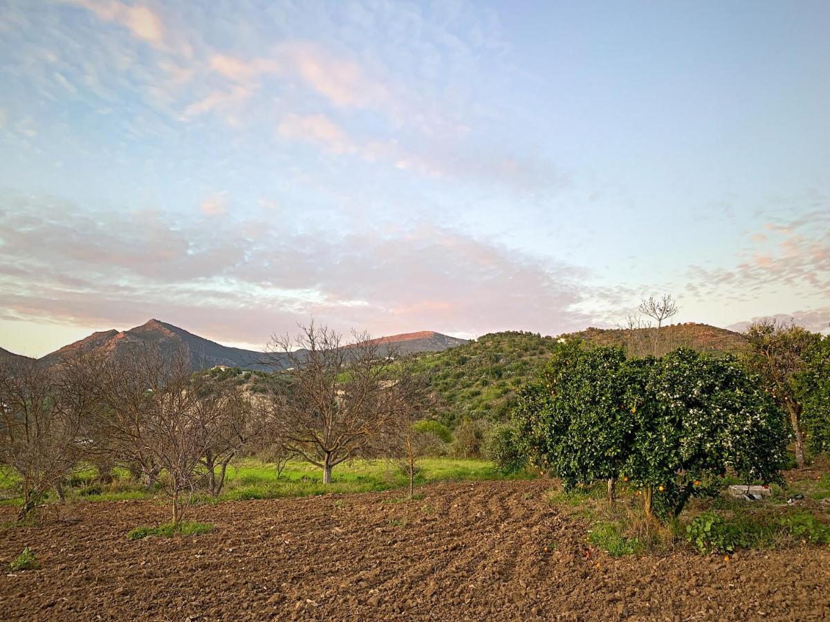 Vivelorural Casa Y Piscina En Zahara De La Sierra Villa Kültér fotó